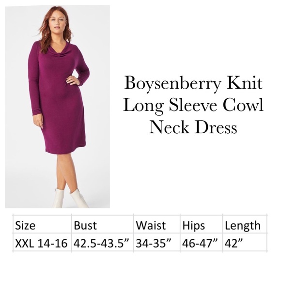 Boysenberry Knit Long Sleeve Cowl Neck Dress - Picture 7 of 7